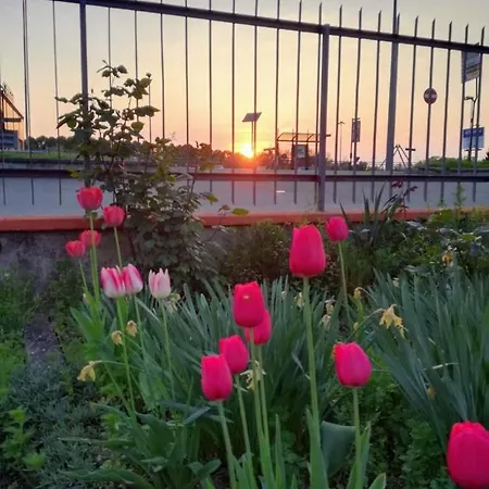 Oleandro Dom wakacyjny *