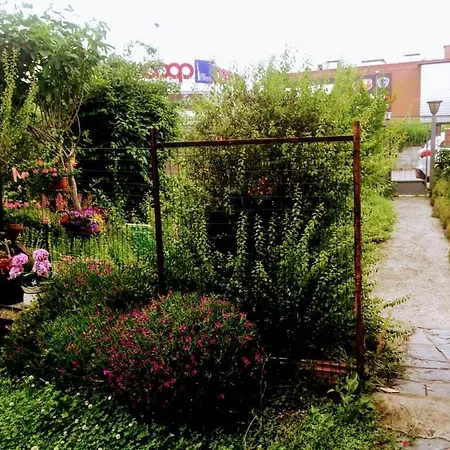 Oleandro * Νοβάρα