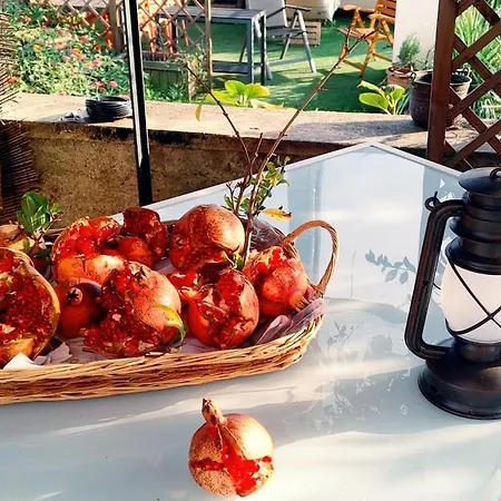 Dom wakacyjny Oleandro Novara