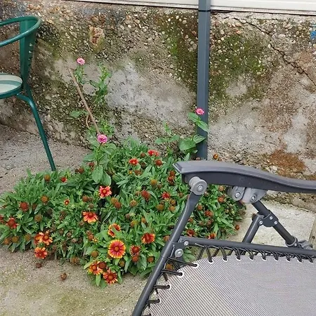 Casa vacanze Oleandro *