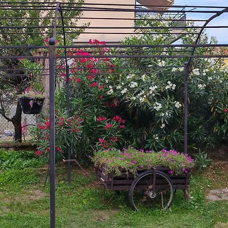 Oleandro Σπίτι διακοπών Νοβάρα