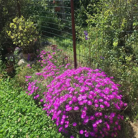 Casa vacanze Oleandro Novara