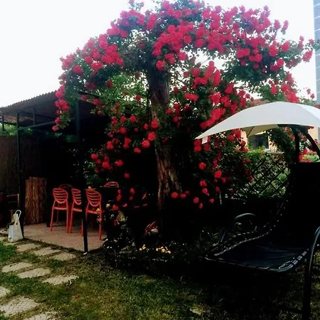 Oleandro Casa vacanze Novara